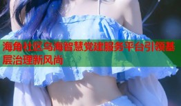 海角社区乌海智慧党建服务平台引领基层治理新风尚