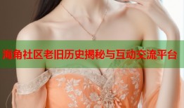 海角社区老旧历史揭秘与互动交流平台