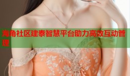 海角社区建泰智慧平台助力高效互动管理