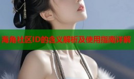 海角社区ID的含义解析及使用指南详解