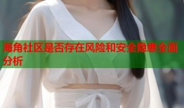 海角社区是否存在风险和安全隐患全面分析