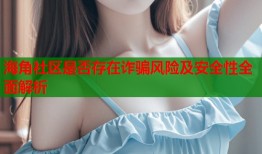 海角社区是否存在诈骗风险及安全性全面解析