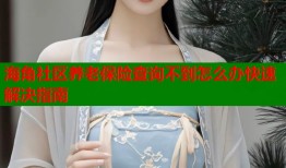 海角社区养老保险查询不到怎么办快速解决指南