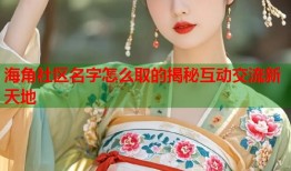 海角社区名字怎么取的揭秘互动交流新天地