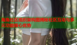 海角社区组织架构图揭秘社区互动与多元功能核心优势