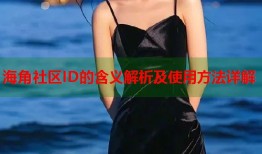 海角社区ID的含义解析及使用方法详解
