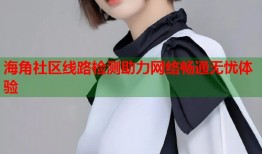 海角社区线路检测助力网络畅通无忧体验