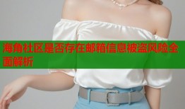 海角社区是否存在邮箱信息被盗风险全面解析