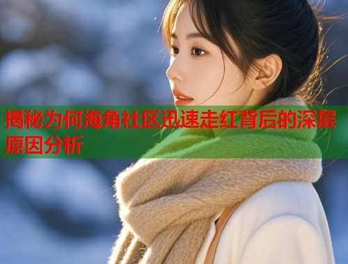 揭秘为何海角社区迅速走红背后的深层原因分析