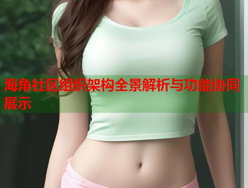 海角社区组织架构全景解析与功能协同展示